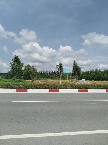 Hình ảnh Cho thuê đất chính chủ bình dương