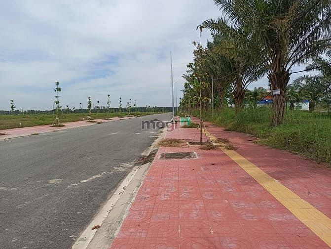 Hình ảnh Bán đất sổ đỏ đường 25C Nhơn Trạch chỉ 1,15 tỷ/nền.