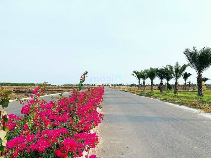 Hình ảnh Bán đất sổ đỏ đường 25C Nhơn Trạch chỉ 1,15 tỷ/nền.