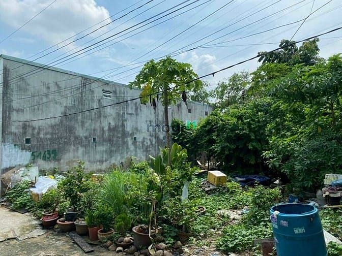 Hình ảnh Đất DT: 10x20=200m2 đường Tân Hoà 2, phường Hiệp Phú, Q9. TP Thủ Đức