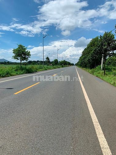 Hình ảnh Bán đất KCN Mỹ Xuân 600m2 SHR phù hợp phân lô tách thửa, giá 3tr/m2