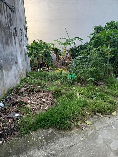 Hình ảnh Bán Đất 53m2 - Phố Trường Lâm - Việt Hưng Ngõ ô tô ra vào