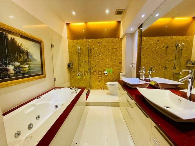 Hình ảnh Bán biệt thự lê văn sỹ quận 3 12*21m 4 tầng