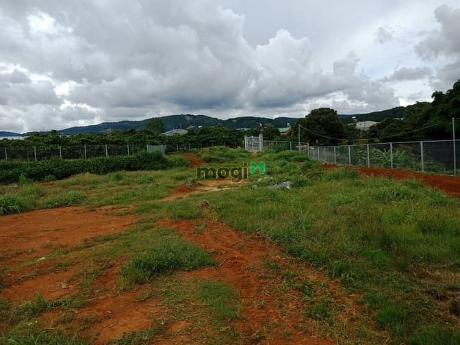 Hình ảnh Sang lại nền đất 3333 m2 tại Tà Nung, Lâm Đồng