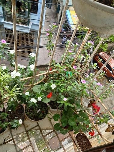 Hình ảnh Cho thuê CC số 3 ngõ 135 Nguyễn Văn Cừ giá 6tr
