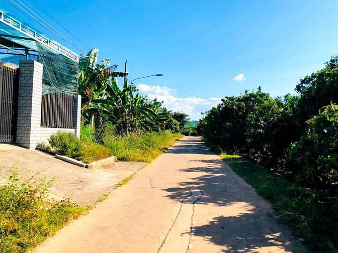 Hình ảnh Bán vườn xoài Bằng Lăng giá tốt