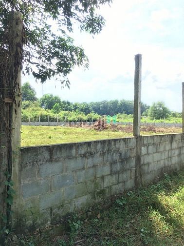 Hình ảnh Bán đất Củ Chi giá Trang MB66.COM Chính Thức - MB 66 Uy Tín 2.250m2 Phú Hòa Đông