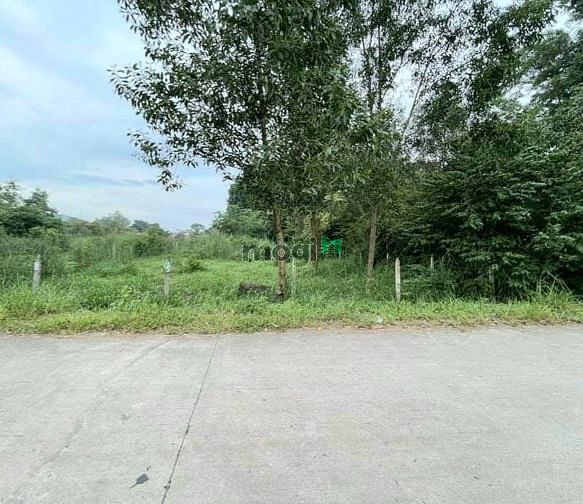 Hình ảnh Bán mảnh vườn 725m2 giá rẻ 6 tỷ, có 300m2 đất thổ cư.