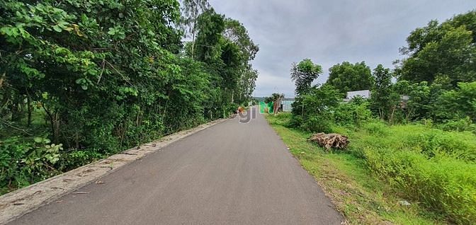 Hình ảnh Bán gấp lô sổ sẵn 6x33m= 200m2 thổ cư 100m giá 7tr/m