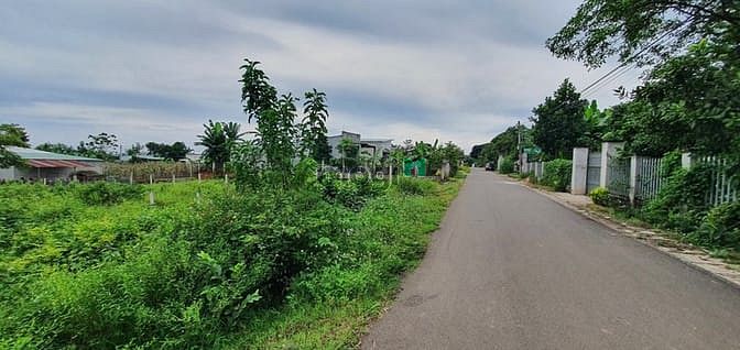 Hình ảnh Bán gấp lô sổ sẵn 6x33m= 200m2 thổ cư 100m giá 7tr/m