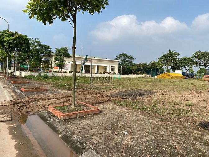 Hình ảnh Bán gấp đất bên TĐC phố Keo, Kim Sơn 80m2, giá 36 triệu/m2