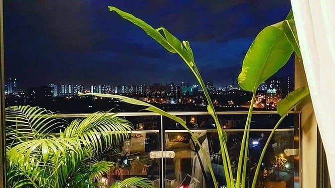 Hình ảnh Cho thuê Trang Chủ MB66.COM / Đăng Ký Tặng 66K Estella Height - An Phú - Quận 2