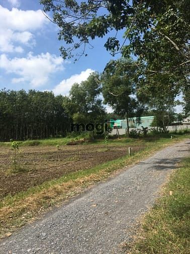 Hình ảnh Đất sổ hồng 490m², đường Nguyễn Thị Rành,SHR