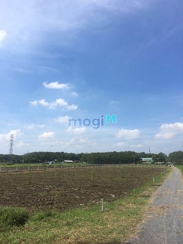 Hình ảnh Đất sổ hồng 490m², đường Nguyễn Thị Rành,SHR