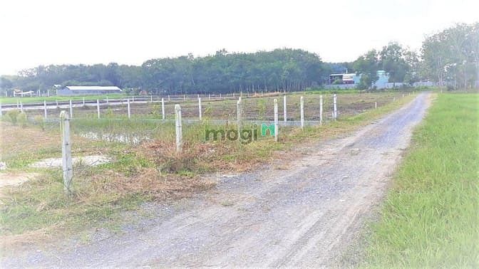 Hình ảnh Đất sổ hồng 490m², đường Nguyễn Thị Rành,SHR