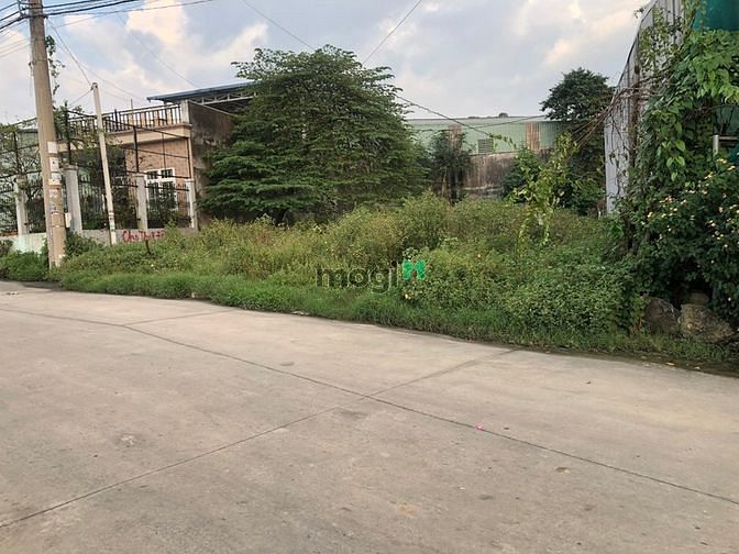 Hình ảnh Đất Trống 15m x 35m(525m2) cần cho Thuê.