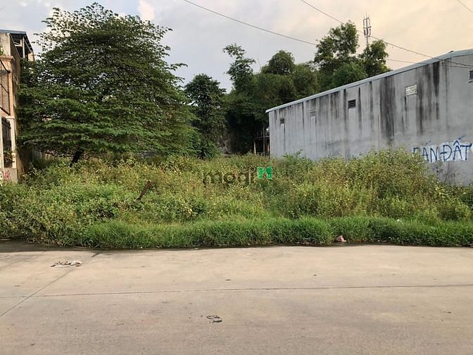 Hình ảnh Đất Trống 15m x 35m(525m2) cần cho Thuê.