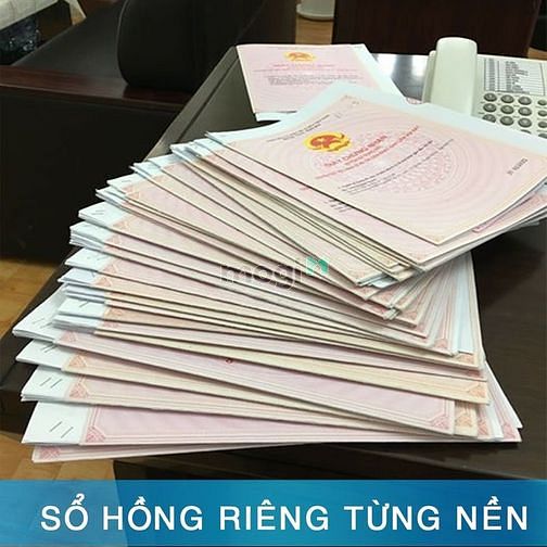 Hình ảnh Thanh Lý gấp lô đất B1-22,23,24. DT: 260,10m2 KDC Tân Tạo