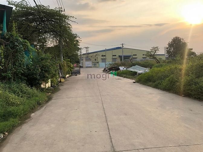 Hình ảnh Đất Trống 15m x 35m(525m2) cần cho Thuê.