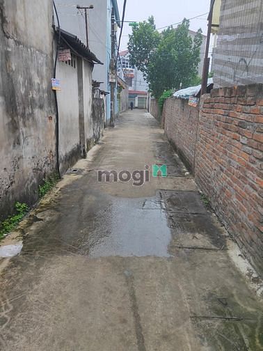 Hình ảnh Bán 50m đất liên mạc mt 4 m ôt cách 20m giá 31 tr/m