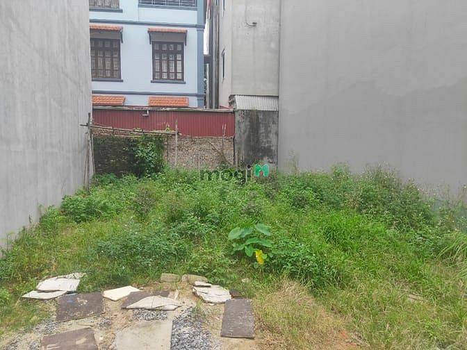 Hình ảnh Bán 50m đất liên mạc mt 4 m ôt cách 20m giá 31 tr/m