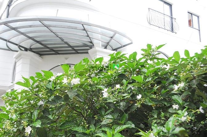 Hình ảnh Phòng STUDIO, 1PN, 2PN Nguyễn Thượng Hiền, P6, Bình Thạnh