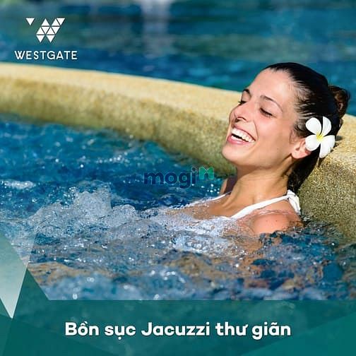 Hình ảnh Booking 50 triệu - Nhận CK ngay 0.5%