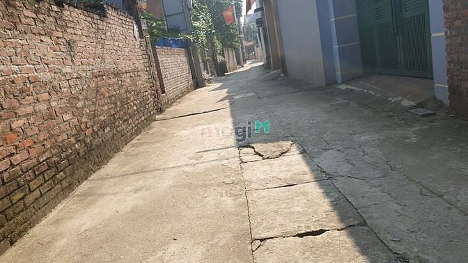 Hình ảnh Đất xóm 1 – Hải Bối – Oto. DT 74m2, MT 4m. Giá: 2,25 tỷ