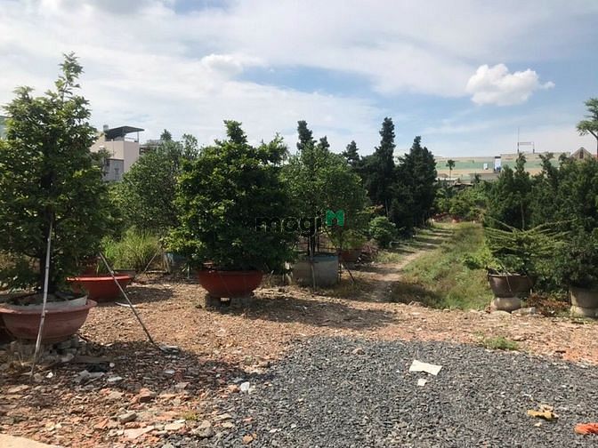 Hình ảnh Cho thuê đất trống 9000m2, đường An Phú Đông 9, Quận 12