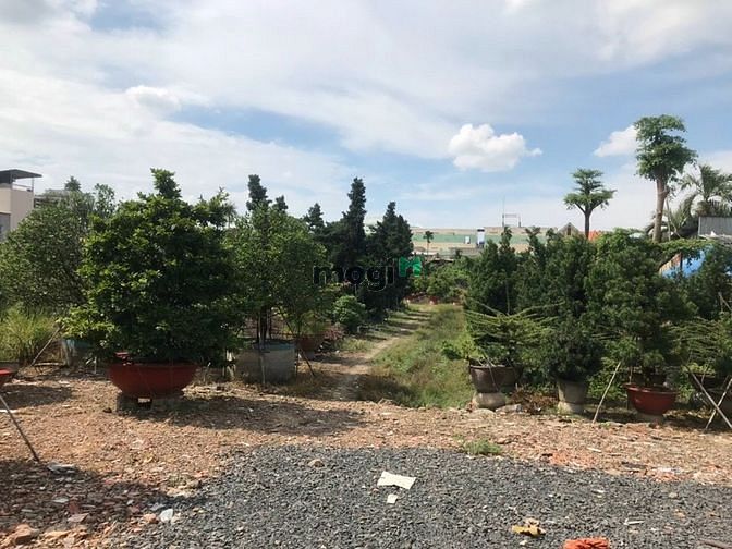 Hình ảnh Cho thuê đất trống 9000m2, đường An Phú Đông 9, Quận 12