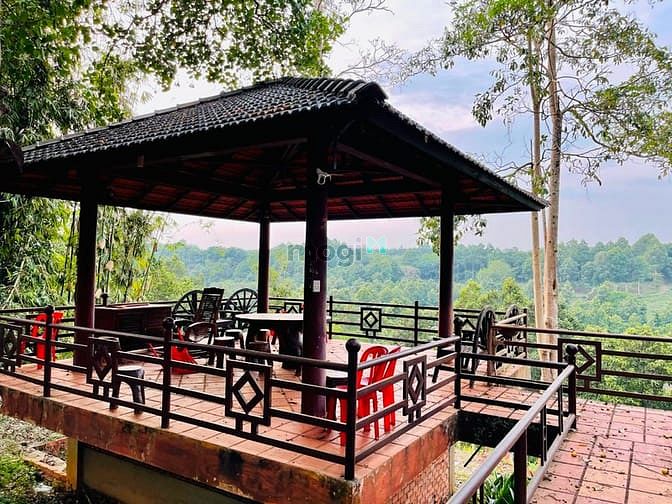 Hình ảnh Sở Hửu Đất Nền Cạnh Trung Tâm Thương Mại Sầm Uất Chỉ 4tr/m2 Tại Sao Kh