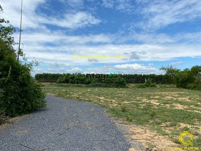 Hình ảnh Bán đất Cam Thủy Cam Lộ Thành Phố Đông Hà Tỉnh Quảng Trị