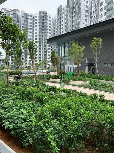 Hình ảnh CH Trệt Celedon City Emeral 71M 2PN 2WC Tiện KD