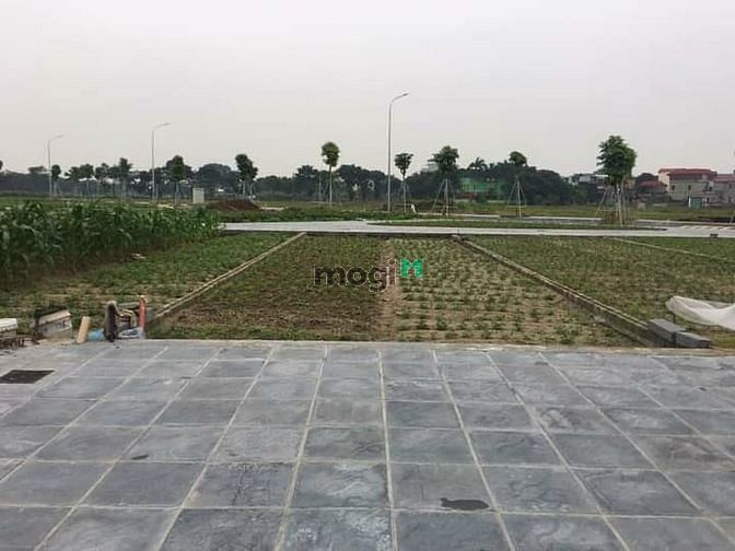 Hình ảnh Bán đất số thửa 25 – Thái Bình, Mai Lâm. DT 80m2, Mt 5m. Giá: 70tr/m2