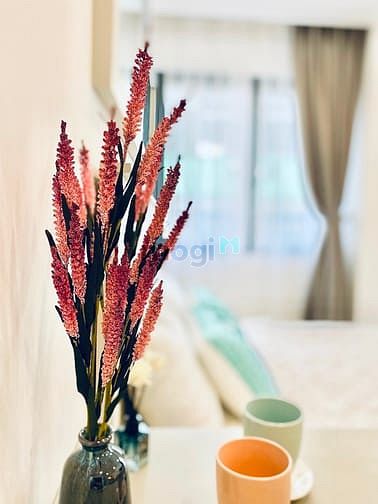 Hình ảnh GIẢM SỐC CÒN 1 CĂN DUY NHẤT-Phan Đăng Lưu, Phú Nhuận