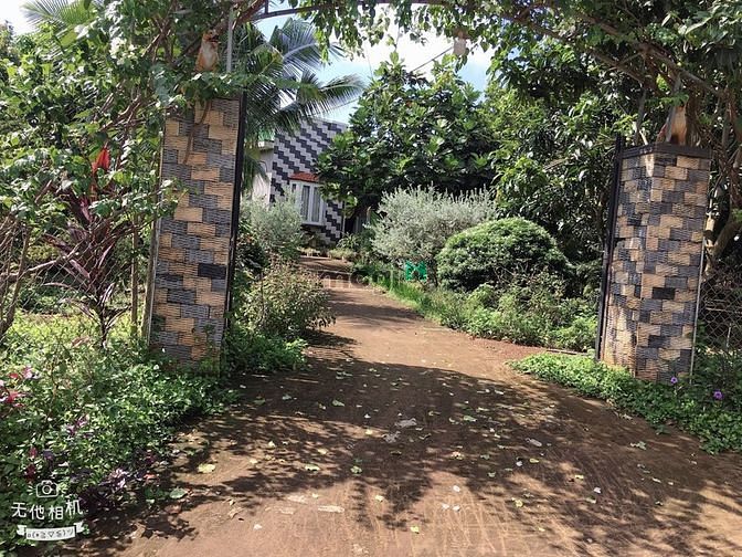 Hình ảnh cần ra lô đất trong tuần ở ĐN giá 400tr/1000m2