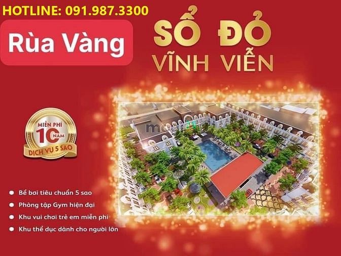 Hình ảnh Khách hàng phàn nàn rằng họ không muốn sở hữu Rùa Vàng City vì Sợ: