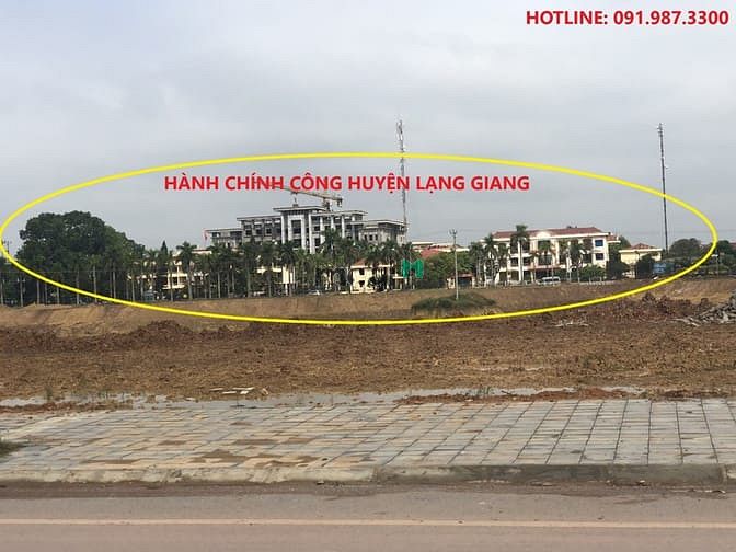Hình ảnh Khách hàng phàn nàn rằng họ không muốn sở hữu Rùa Vàng City vì Sợ:
