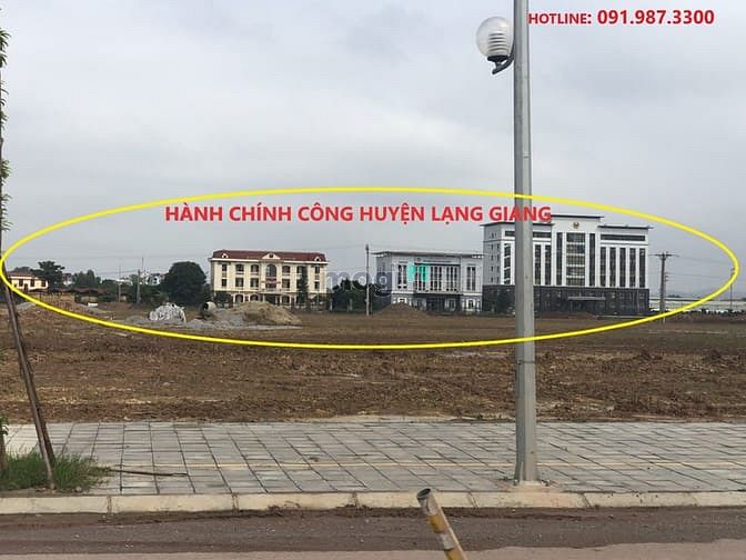 Hình ảnh Khách hàng phàn nàn rằng họ không muốn sở hữu Rùa Vàng City vì Sợ: