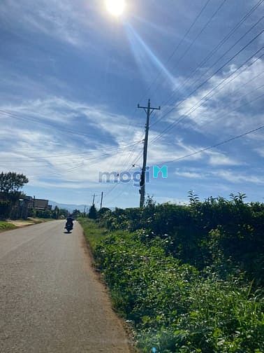Hình ảnh nhà em cần bán đất lộc an lâm đồng