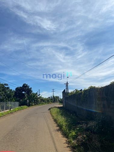Hình ảnh nhà em cần bán đất lộc an lâm đồng