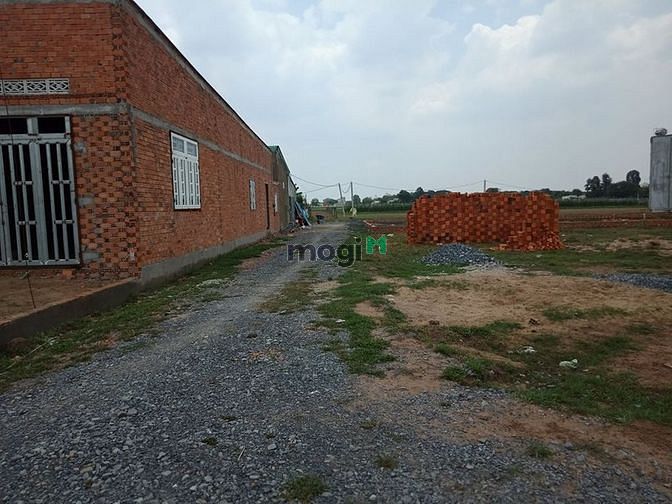 Hình ảnh Đất sổ hồng riêng 115m2 (5x23) đất thổ chính chủ