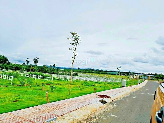 Hình ảnh Đất gần trung tâm TP Bảo Lộc có sổ hồng riêng thổ cư 150m2