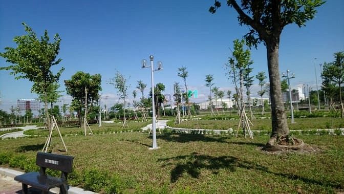 Hình ảnh bán gấp lô đất nền Cổ Dũng 230m2 giá 3,3 tỷ