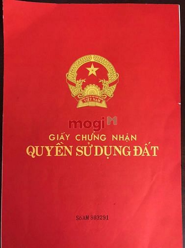 Hình ảnh Bán đất mặt phố,mặt vườn hoa- Lê Văn Lương(Nguyễn th Định) 313m2.mt 48