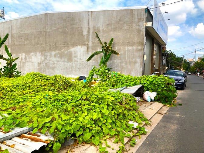 Hình ảnh Sở hữu lô đất vị trí vàng hẻm 413 lê văn quới, dt: 52m2, giá: 5.5 tỷ.