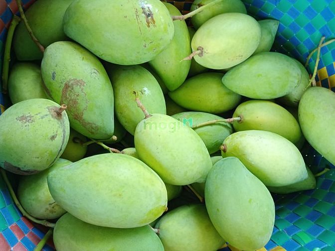Hình ảnh Cần bán gấp thửa đất mt duyên hải, dt: 1763m2, huyện cần giờ.