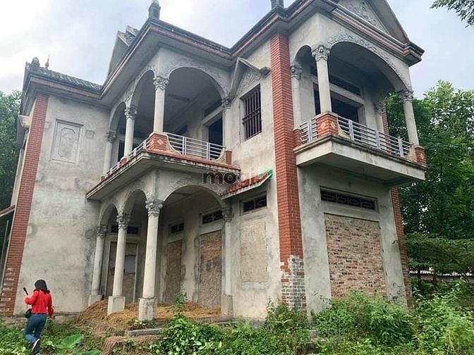 Hình ảnh Bán đất nghỉ dưỡng, đất trang trại Sóc Sơn, 3215m2, Mt 50m, 5.8 tỷ