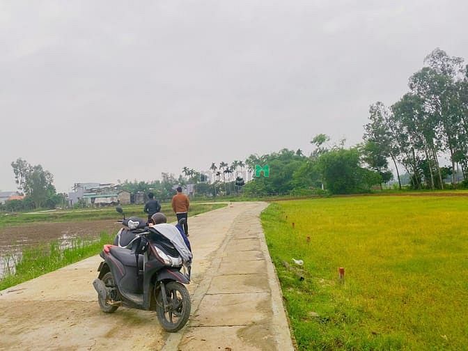 Hình ảnh Đất ven Đà Nẵng giá rẻ , chỉ từ 500 triệu.