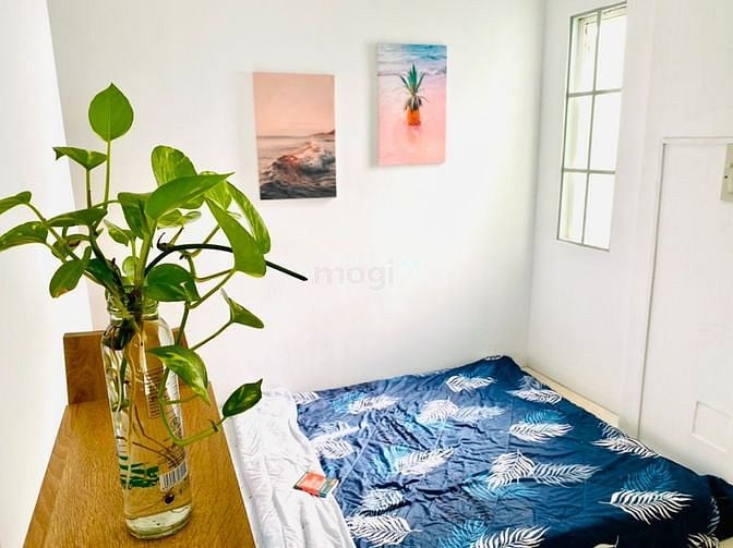 Hình ảnh 🪲 2PN DECOR xinh xắn ngay quận 1 giá rẻ 🐣